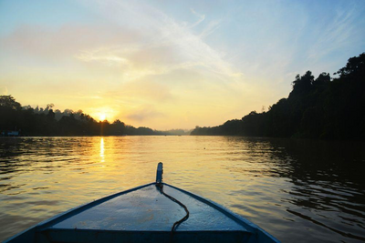 Permai Regenwald, Borneo Sumatra Rundreise, Malaysia
