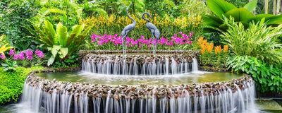 National Orchid Garden, Singapur Reisen