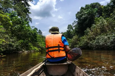 Langboot im Taman Negara Nationalpark, Malaysia Rundreise