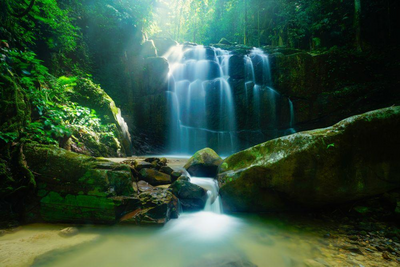 Regenwald, Borneo Sumatra Rundreise, Malaysia