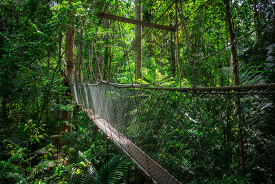Taman Negara, Nationalpark, Malayia, Reise durch Westmalaysia, Borneo & Brunei