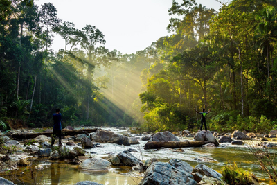 Taman Negara Nationalpark, Malaysia Reise